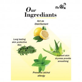 Mr. ej Premium Hand Sanitizer 500ml combo spray with 100ml WHO spray