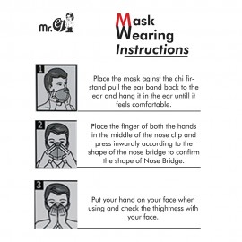 Mr. ej N 95 mask Blue